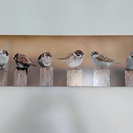 Les Jolis Nids - Studio Moineau La Roche-Posay Esterno foto