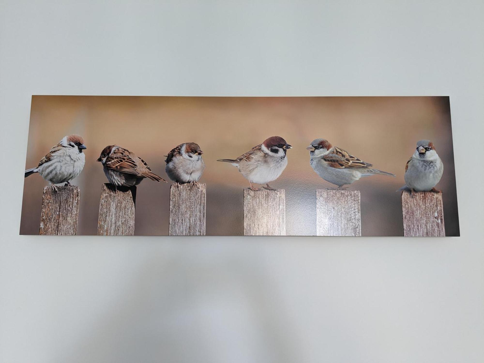 Les Jolis Nids - Moineau Apartment *